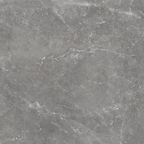 Pietra Antica Grigio 80x80
