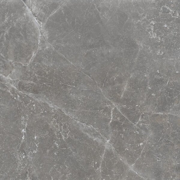 Pietra Antica Grigio 80x80