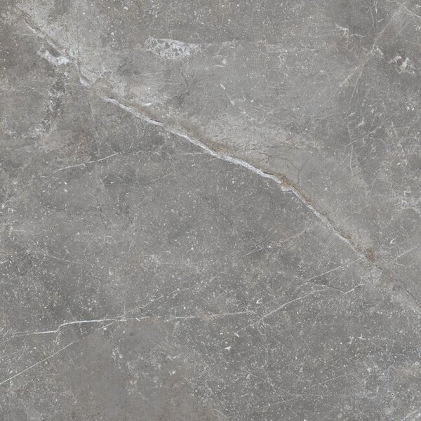Pietra Antica Grigio 80x80