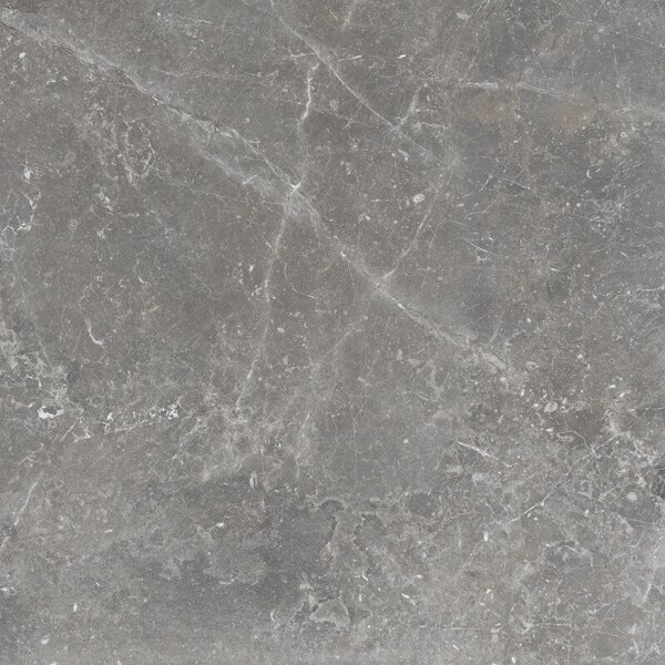 Pietra Antica Grigio 80x80