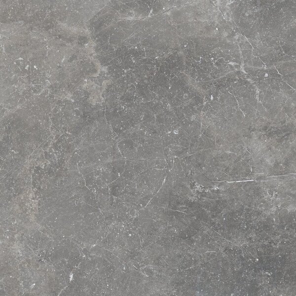 Pietra Antica Grigio 80x80