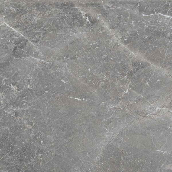 Pietra Antica Grigio 80x80