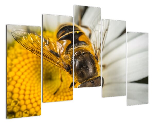 Obraz - detail včely (Obraz 125x90cm)