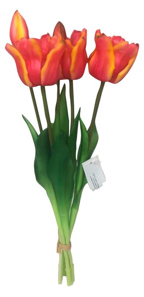 TULIPÁN tulipán 44 cm - Kvety & kvetináče