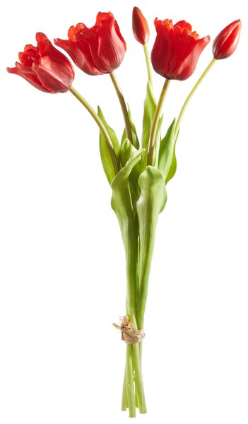TULIPÁN tulipán 44 cm - Kvety & kvetináče