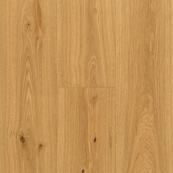 Parador Engineered Wood Flooring Fertigparkett Dub Expressive 1749632 naturaloil plus 1-strip widepl microbev 2200x185x13 mm