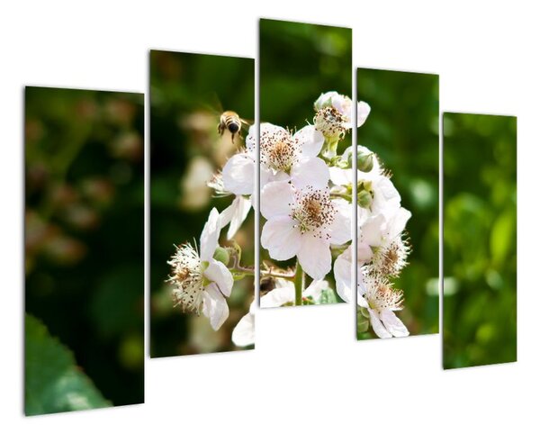 Kvetina - obraz (Obraz 125x90cm)