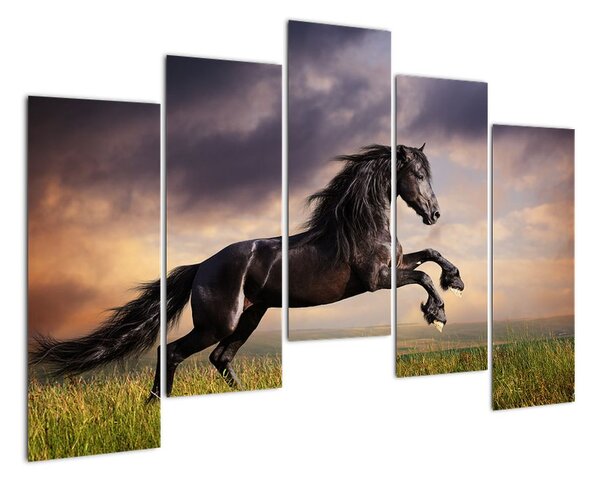 Kôň - obraz (Obraz 125x90cm)