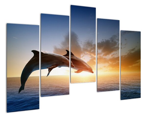Delfíny - obraz (Obraz 125x90cm)