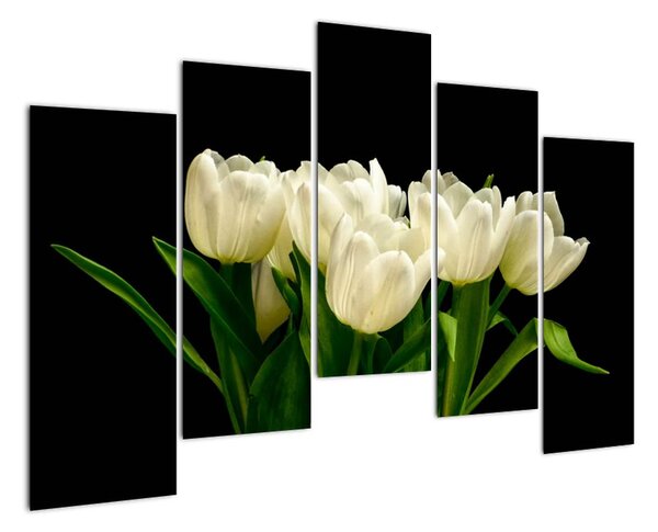 Biele tulipány - obraz (Obraz 125x90cm)