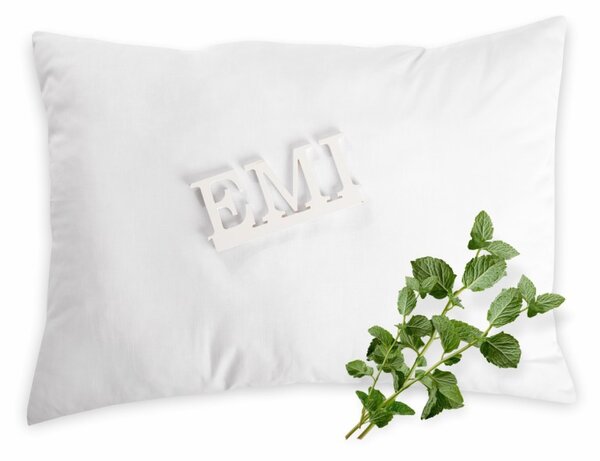 Aromatický vankúš Mint 50x70 cm EMI