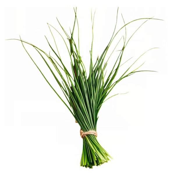 Aromatický vankúš Lemongrass 50x70 cm EMI