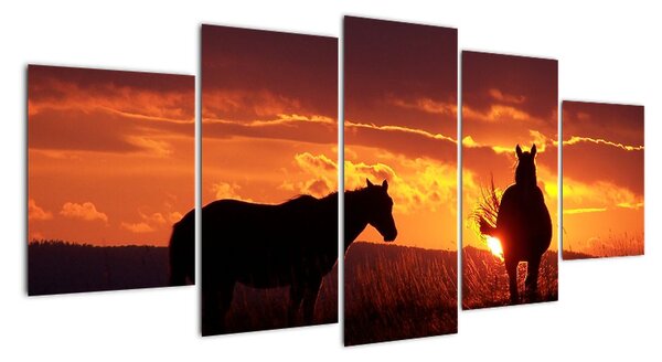 Obraz - kone pri západe slnka (Obraz 150x70cm)