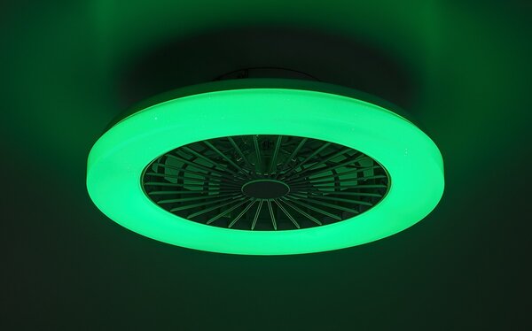 Rabalux 98071333 LED ventilátor s osvetlením Dalfon2 | 48W integrovaný LED zdroj | 3500lm | 3000-6500K