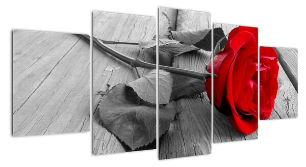 Obraz ruže s červeným kvetom (Obraz 150x70cm)