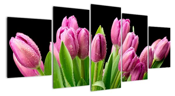 Obraz tulipánov (Obraz 150x70cm)