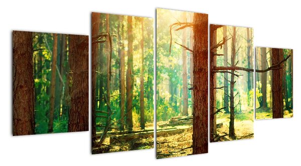 Moderný obraz - les (Obraz 150x70cm)