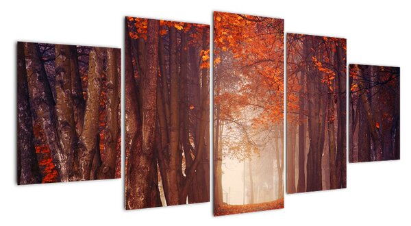 Jesenné les - obraz (Obraz 150x70cm)