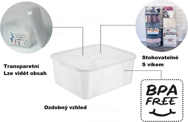 Rotho Úložný box Lona 29L