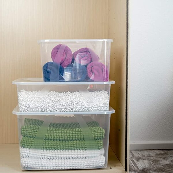 Rotho Úložný box Lona 10L