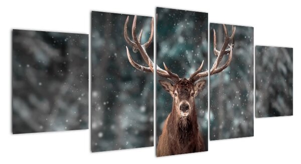 Obraz - jeleň v zime (Obraz 150x70cm)