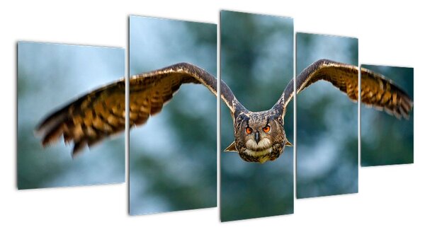 Obraz letiaci sovy (Obraz 150x70cm)
