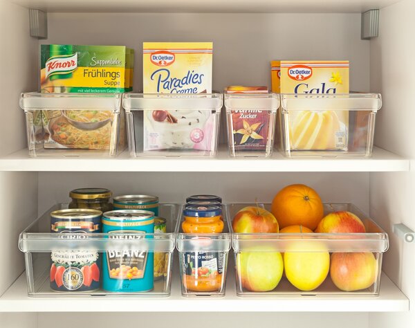 Rotho Organizér do chladničky LOFT L – 5 l