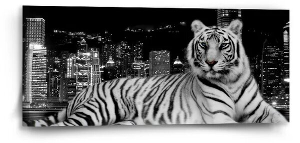 Sablio Obraz Mestský tiger - 110x50 cm