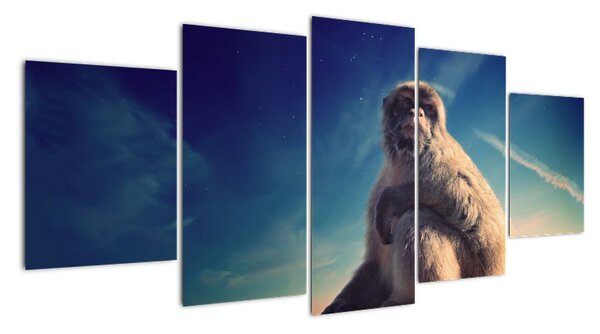 Obraz opice - obrazy zvierat (Obraz 150x70cm)