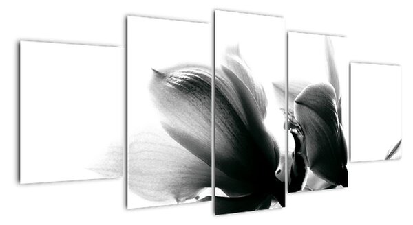Obraz čiernobielych kvetov (Obraz 150x70cm)