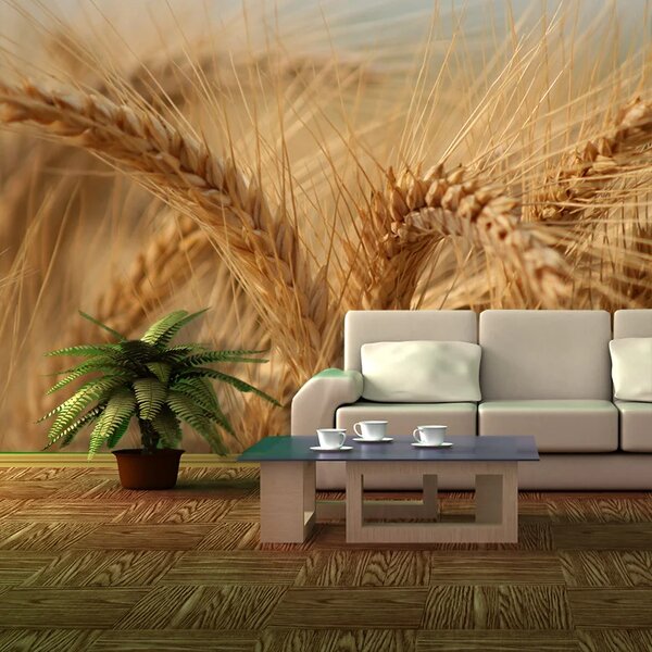 Sablio Tapeta Klasy 2 - 125x75 cm