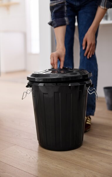 Rotho Odpadkový kôš s vekom a kovovými zámkami MINI POPOLNICA 25l