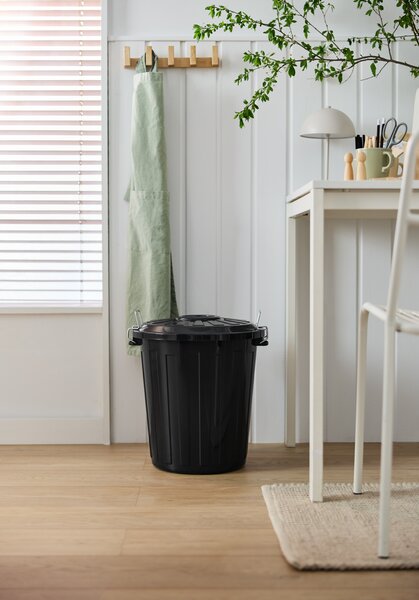 Rotho Odpadkový kôš s vekom a kovovými zámkami MINI POPOLNICA 25l