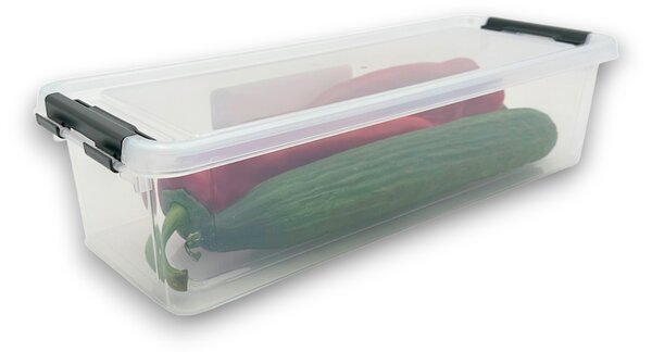 Orion Úložný box, organizér, do chladničky (3,5l) FRESH - 36,5 x 14 x 9 cm