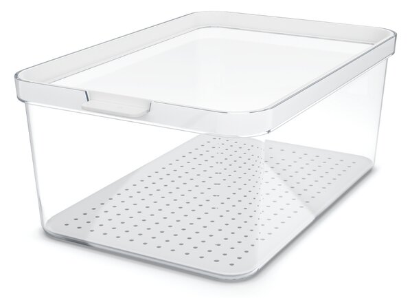 Rotho Organizér do ledničky Cauma box 4,65 L