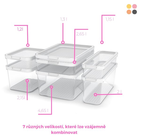 Rotho Organizér do ledničky Cauma box 4,65 L