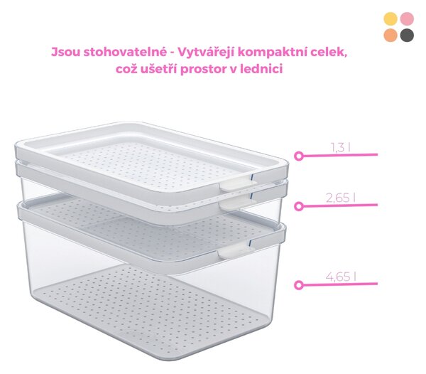 Rotho Organizér do ledničky Cauma box 4,65 L