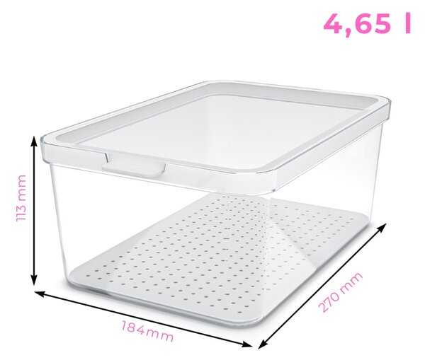 Rotho Organizér do ledničky Cauma box 4,65 L