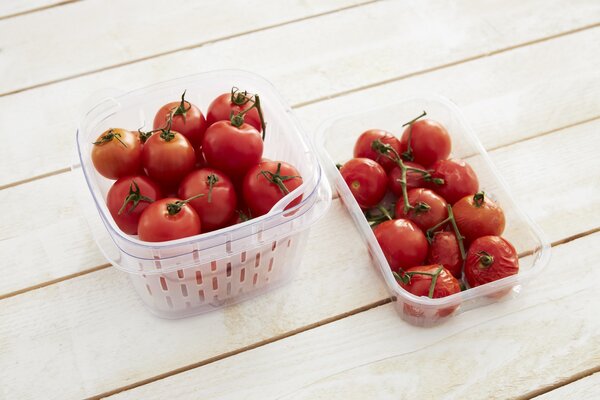 Dynamic FRESH Kontajner na potraviny 6,4 l