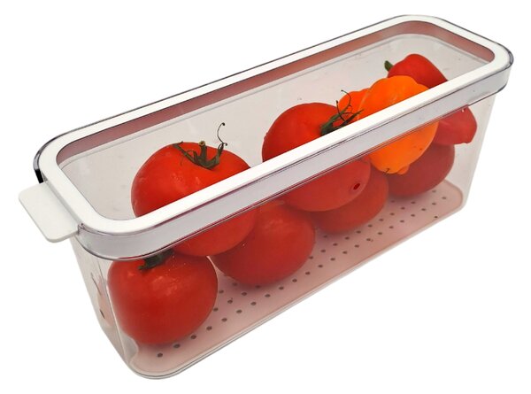 Rotho CAUMA Organizér do chladničky, 11,3 × 9,2 × 28,2 cm, 2 l, plast, 1053501100