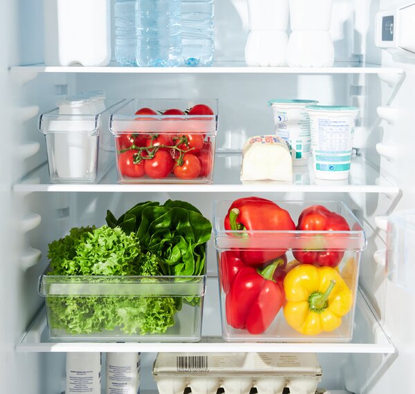 Rotho Organizér do chladničky (vstavaný) LOFT FRIDGE - 22x20x15 cm