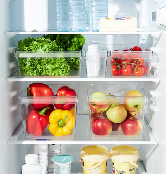 Rotho Organizér do chladničky (vstavaný) LOFT FRIDGE - 22x20x15 cm