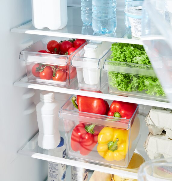 Rotho Organizér do chladničky (vstavaný) LOFT FRIDGE - 22x20x15 cm