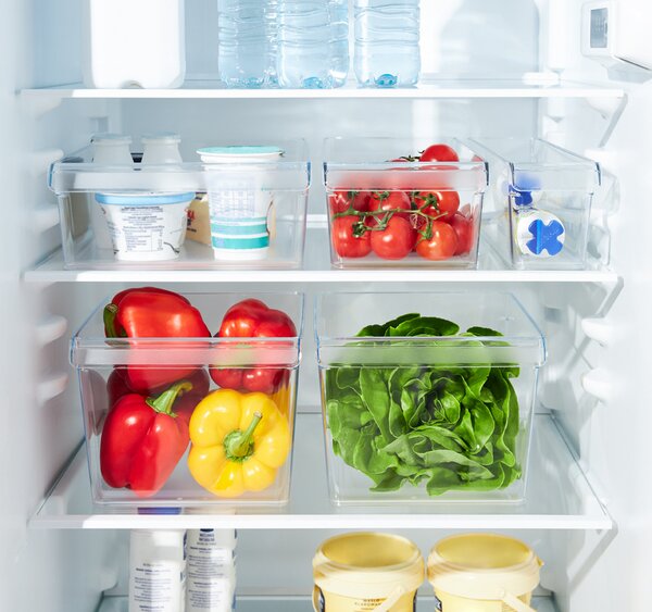 Rotho Organizér do chladničky (vstavaný) LOFT FRIDGE - 22x20x15 cm