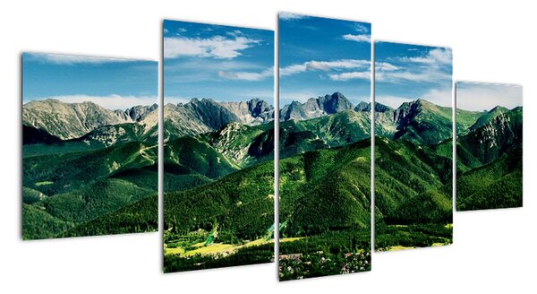 Obraz - panoráma hôr (Obraz 150x70cm)