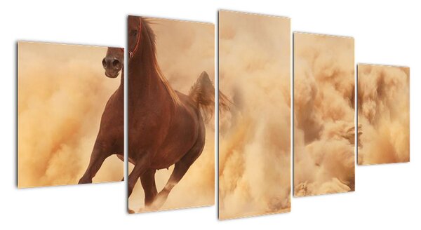 Cválajúci kôň - obraz (Obraz 150x70cm)
