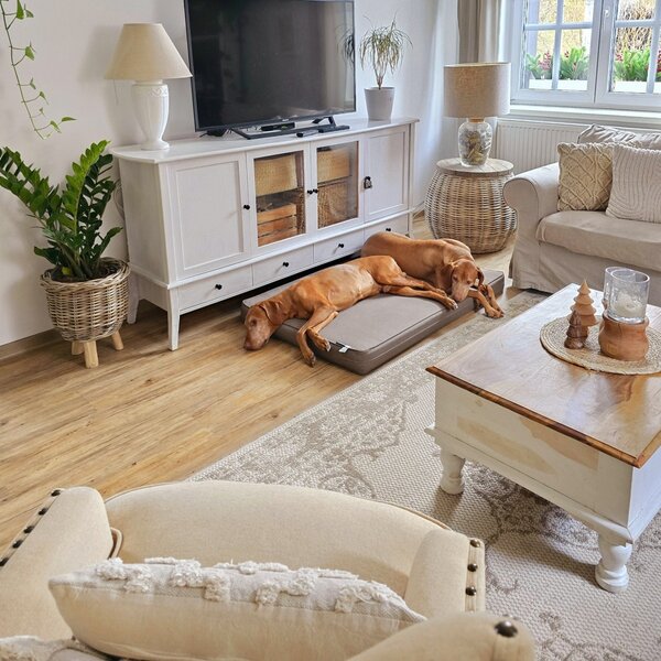 NORTHRUGS Kusový koberec Beach 103854 Cream / Beige – na von aj na doma - 200x290 cm
