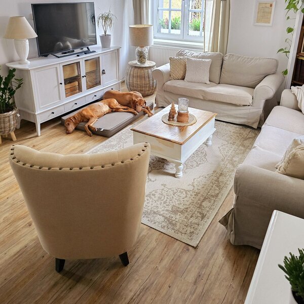 NORTHRUGS Kusový koberec Beach 103854 Cream / Beige – na von aj na doma - 200x290 cm