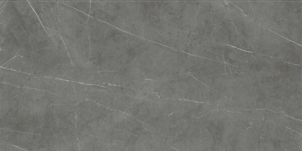 Tessino Grey Natural 60x120 R