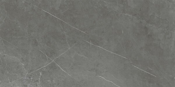 Tessino Grey Pulido 60x120 R